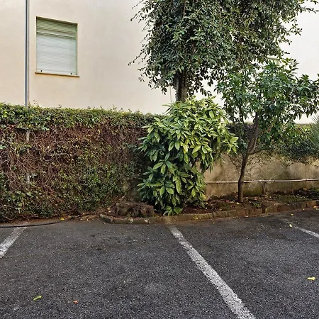 Stella Sanremo